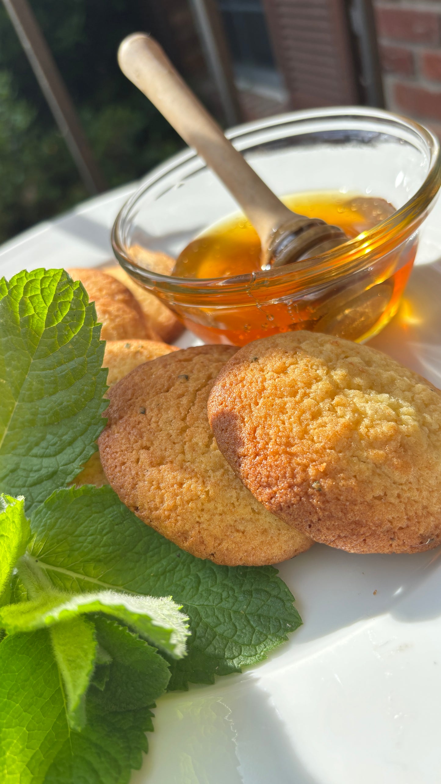 Honey Balm Cookie